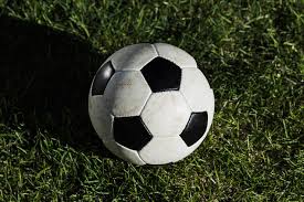 体育教育工作者使用场景